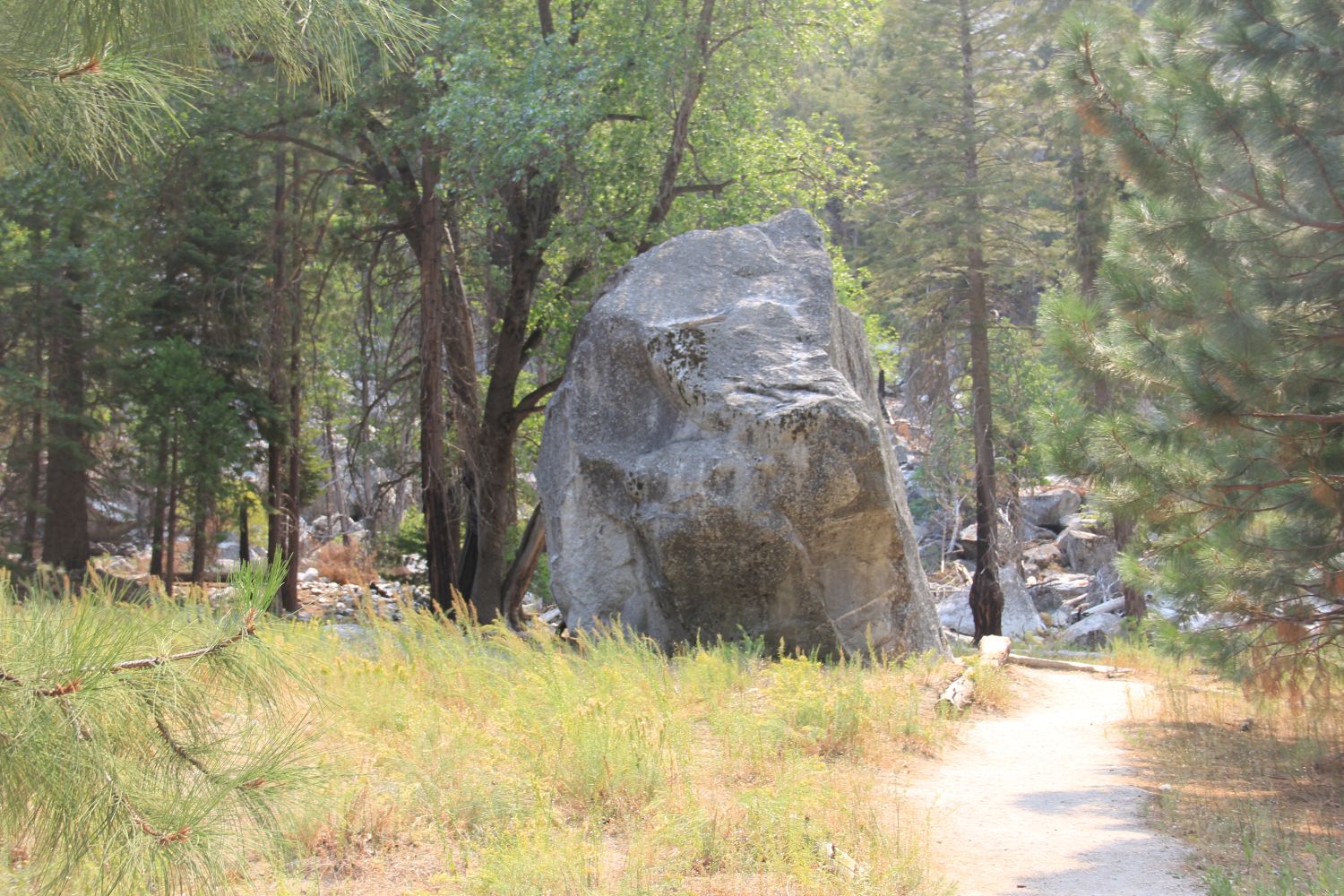 Zumwalt Meadows Trail 